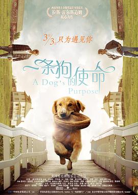 明星angelababy造梦mv
