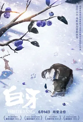 国产精品男男视频一区二区三区