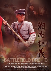 丰富的女性时代