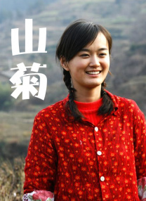 在线综合网