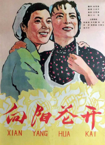 新资料夹2