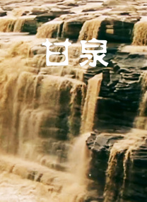综合网插菊花