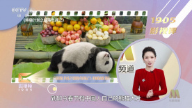 围裙室：美味的服务2